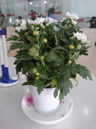 Bay Chi 2 Building Material Private Enterprises