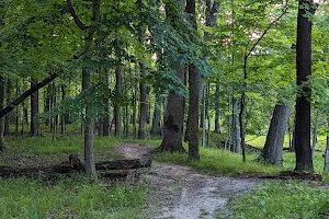 Schiller Woods-South image