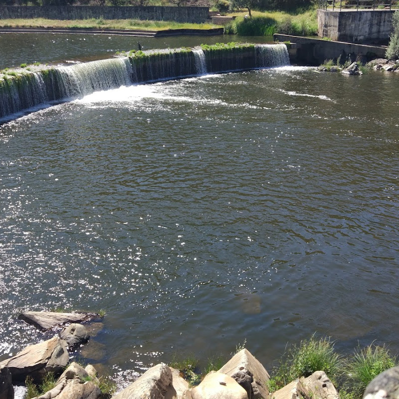 3 image