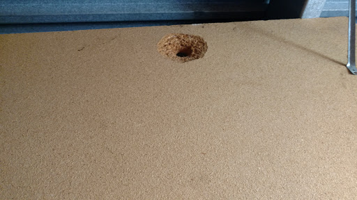 Storage Facility «Extra Space Storage», reviews and photos, 3937 Santa Rosa Ave, Santa Rosa, CA 95407, USA