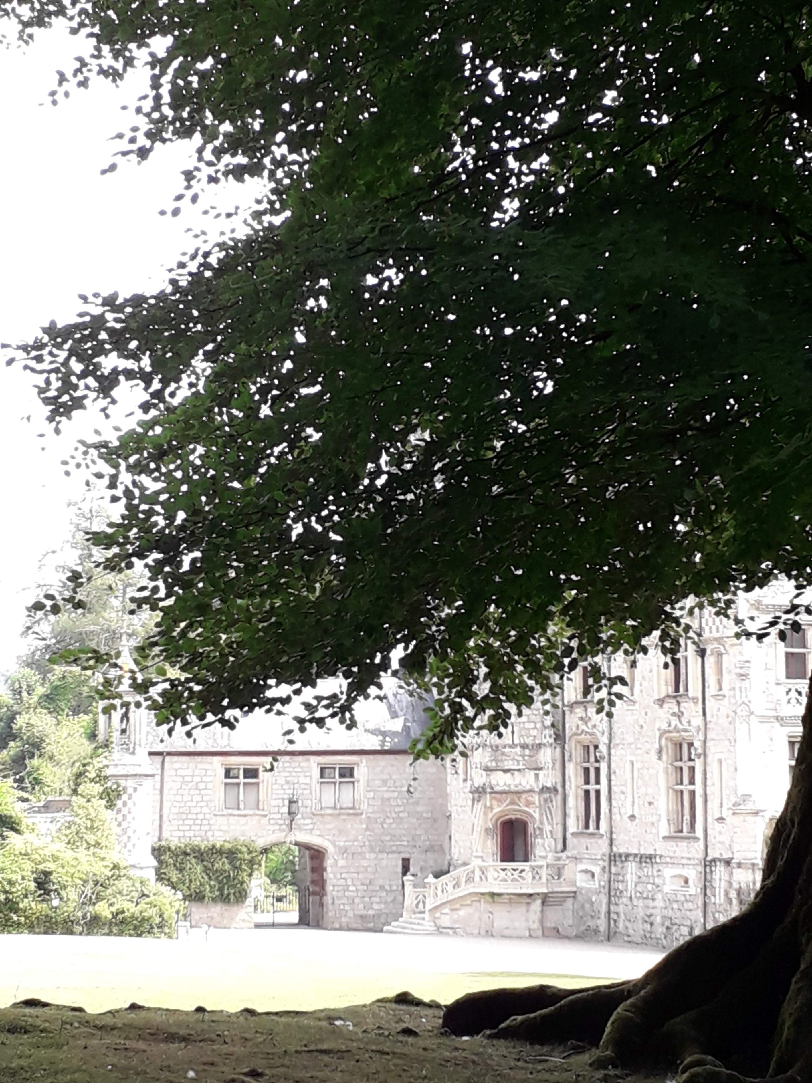 Photo n° 7 de l'avis de Le.o fait le 22/07/2022 à 15:09