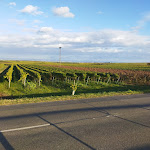 Photo n°2 de l'avis de Slavomir.o fait le 21/10/2021 à 19:02 sur le  Exquisite à Bobenheim am Berg