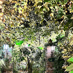 Photo n°5 de l'avis de Anastasia-Myrto.e fait le 03/11/2023 à 12:04 sur le  O'Parrucchiano La Favorita à Sorrento