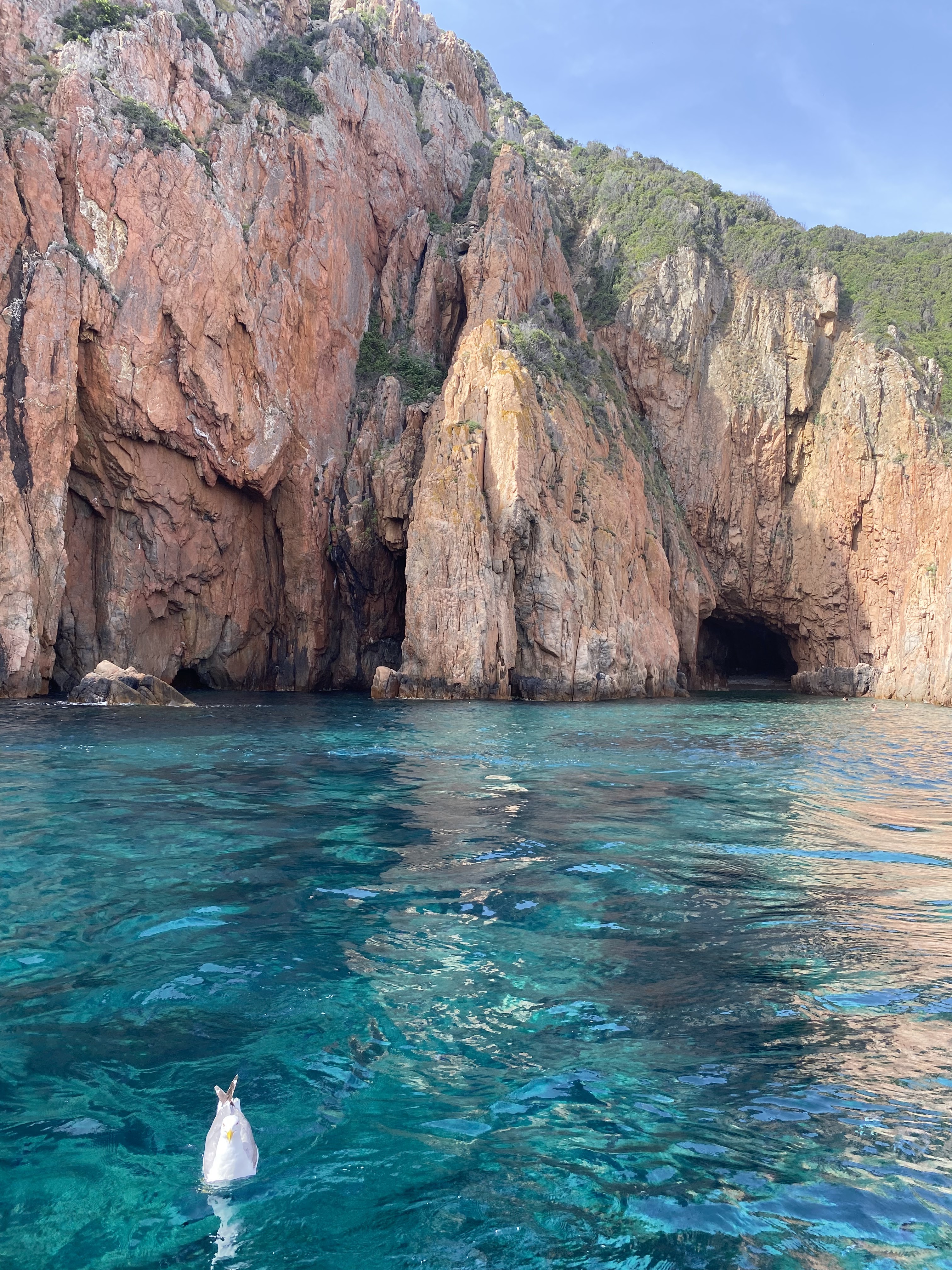 Photo n° 4 de l'avis de Maéva.a fait le 21/06/2023 à 14:41