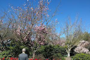 Rhododendron Picnic Area