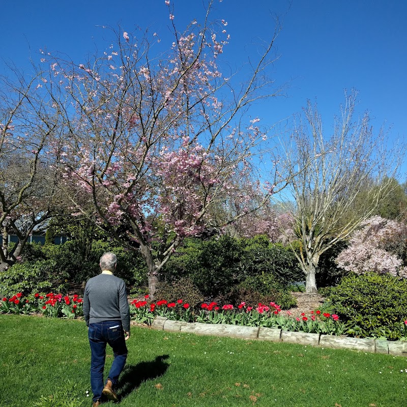 Rhododendron Picnic Area