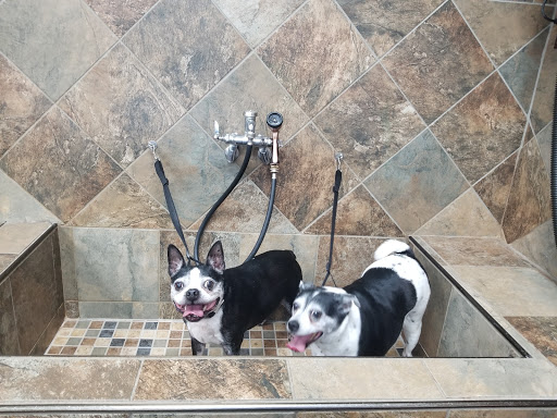 Pet Supply Store «Pet Valu», reviews and photos, 1305 West Seventh Street #28, Frederick, MD 21702, USA