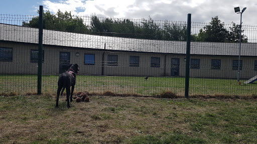 RSPCA Sheffield Animal Shelter