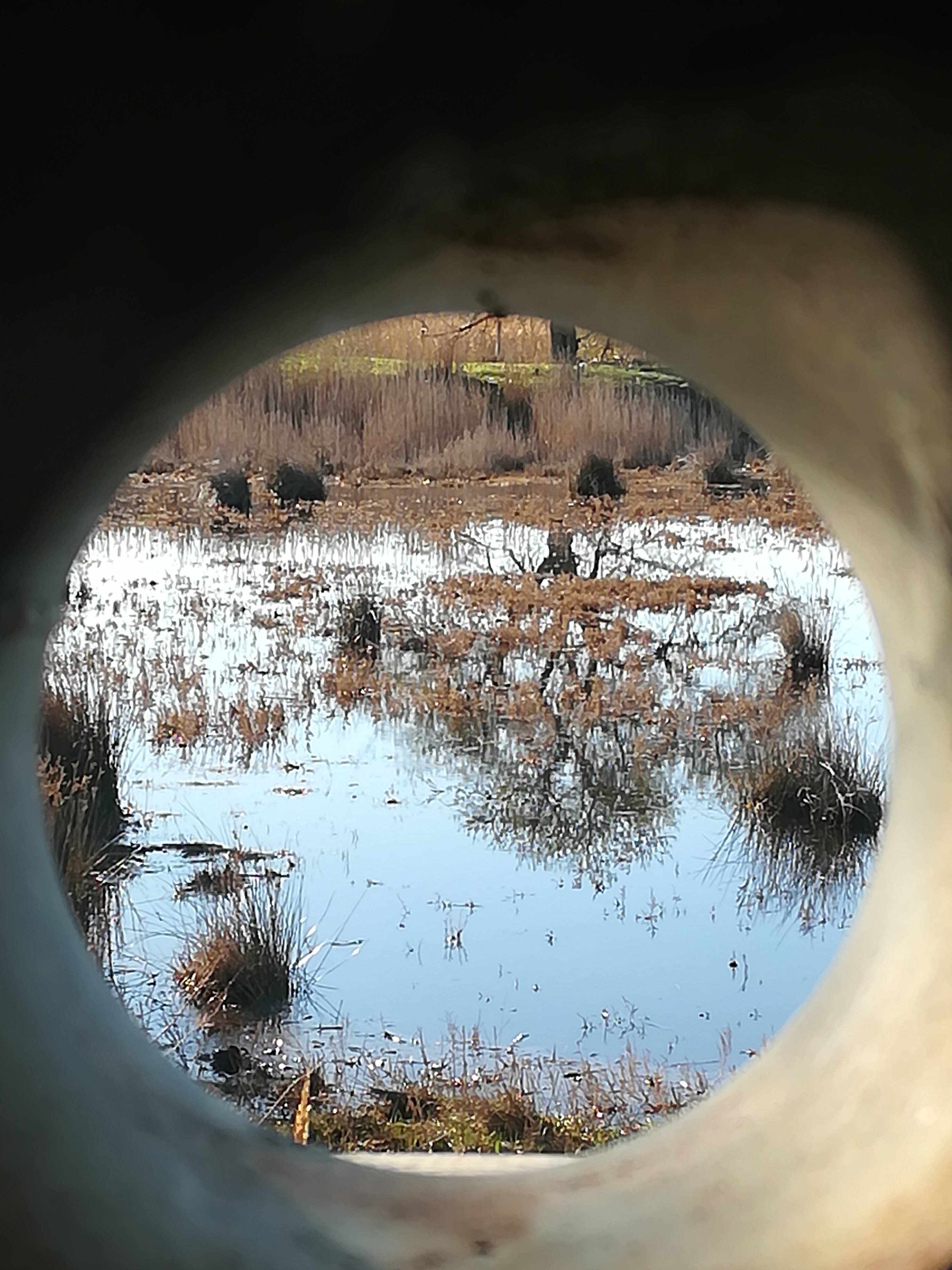 Photo n° 7 de l'avis de Steve.e fait le 29/01/2018 à 14:39