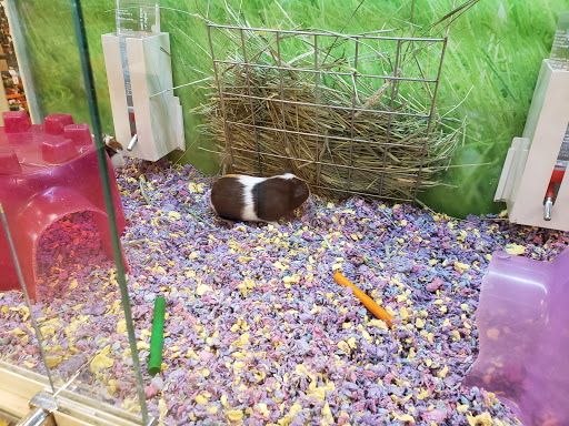 Pet Supply Store «PetSmart», reviews and photos, 2861 Veterans Memorial Pkwy, St Charles, MO 63303, USA