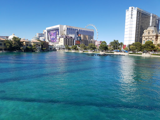 Luxury Hotel «Bellagio Hotel and Casino», reviews and photos, 3600 S Las Vegas Blvd, Las Vegas, NV 89109, USA
