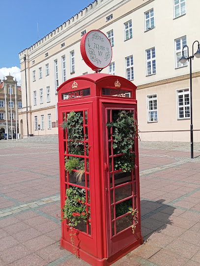 Kwiatowa budka telefoniczna.