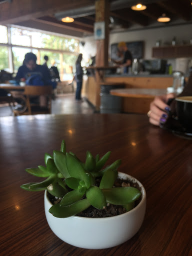 Coffee Shop «Bluebeard Coffee Roasters», reviews and photos, 2201 6th Ave, Tacoma, WA 98403, USA