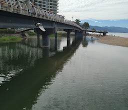 Museo del Cuale photo