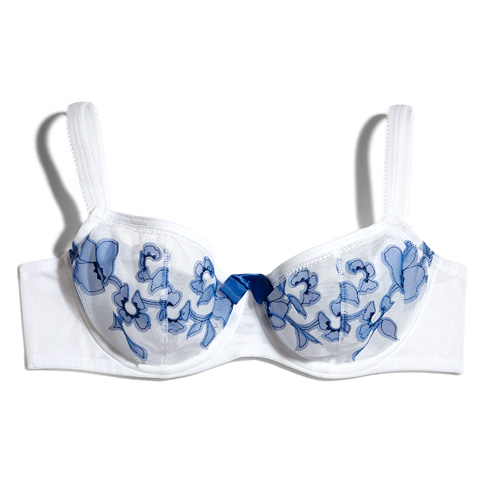 Lingerie Store «Brooklyn Fox Lingerie», reviews and photos, 200 Bedford Ave, Brooklyn, NY 11211, USA