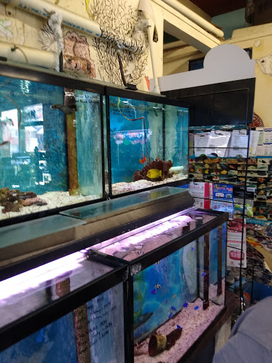 Superway Aquarium