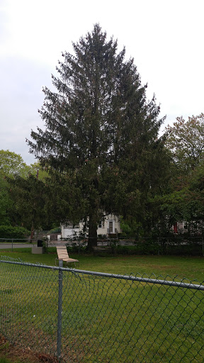 Golf Club «Braintree Municipal Golf Course», reviews and photos, 101 Jefferson St, Braintree, MA 02184, USA