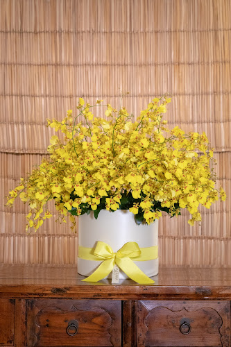 Sta. Gemma Floricultura - Floricultura
