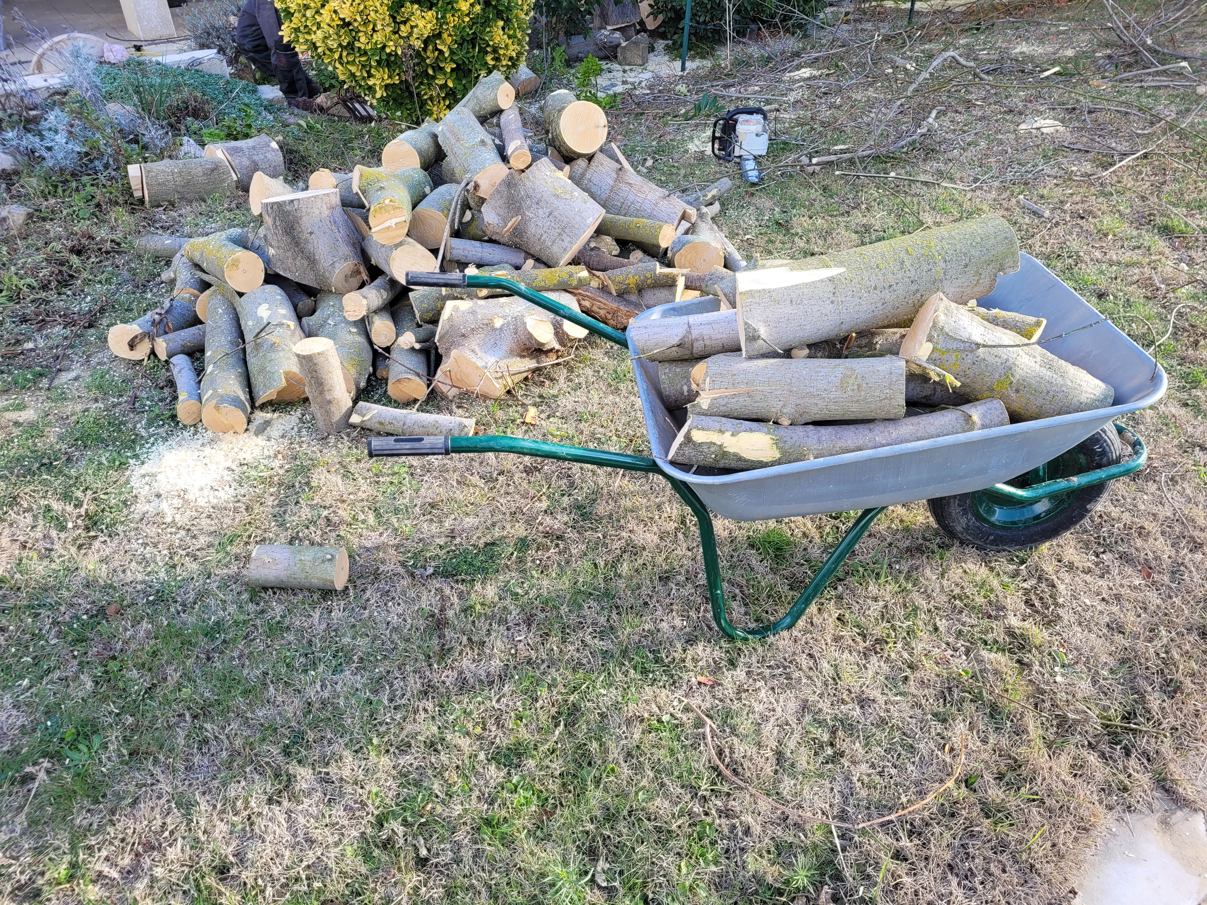 Photo n° 2 de l'avis de massi.a fait le 08/01/2022 à 17:38