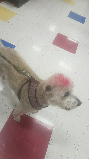 Pet Supply Store «Petco Animal Supplies», reviews and photos, 1415 E Warner Rd, Gilbert, AZ 85296, USA