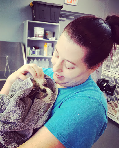 Pet Supply Store «For Pets Sake», reviews and photos, 2576 Montgomery Hwy # 6, Dothan, AL 36303, USA