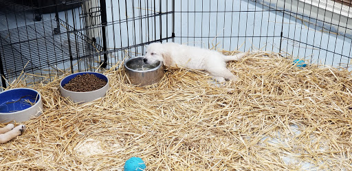 Pet Store «Teske Pet & Garden», reviews and photos, 2423 16th St, Moline, IL 61265, USA