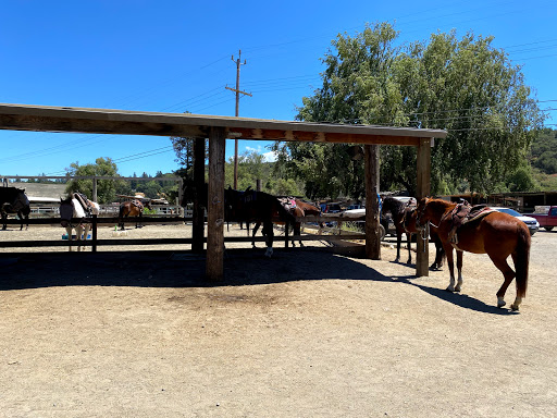 Horse riding field Santa Clara