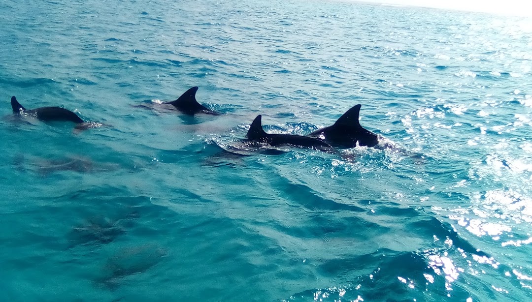 Snorkeling & Fishing