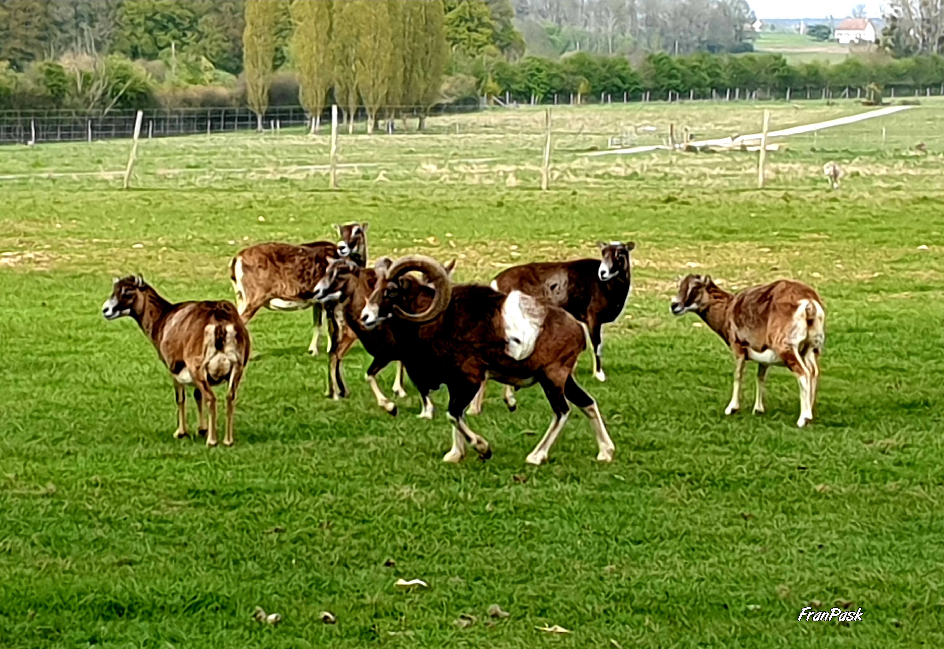 Photo n° 12 de l'avis de Frane.a fait le 15/04/2019 à 16:06