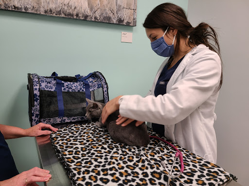Cat Clinic of Lafayette image