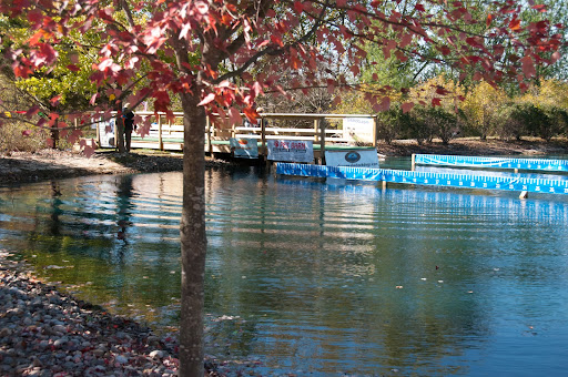 Vineyard «Detour Vineyard & Winery», reviews and photos, 7933 Forest and Stream Club Rd, Keymar, MD 21757, USA