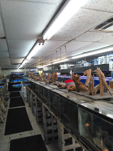 Tropical Fish Store «Texas Tropical & Marine», reviews and photos, 4034 Vance Jackson Rd, San Antonio, TX 78213, USA