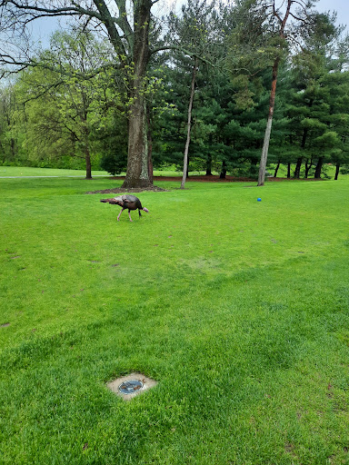 Golf Course «Sharon Woods Golf Course», reviews and photos, 11355 Swing Rd, Cincinnati, OH 45241, USA