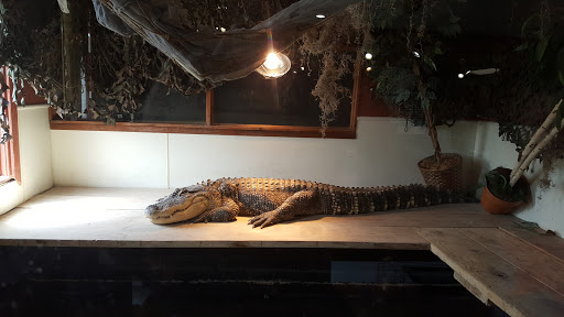 Pet Store «Night Stalkers Pet Emporium», reviews and photos, 5008 Madison Ave, Anderson, IN 46013, USA