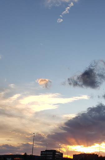 Beer Store «Hunt Valley Wine, Liquor & Beer», reviews and photos, 116 A Shawan Rd, Hunt Valley, MD 21030, USA