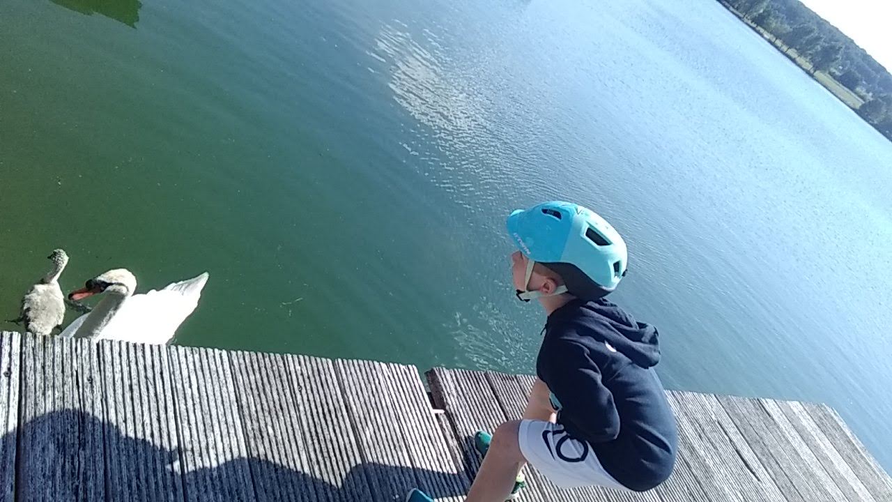 Photo n° 14 de l'avis de Michel.U fait le 30/05/2020 à 16:23