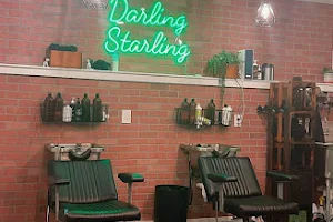 Darling Starling Salon image