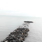 Photo n°22 de l'avis de lorella.o fait le 31/12/2017 à 14:05 sur le  Ristorante Bar da Coco' à Ischia