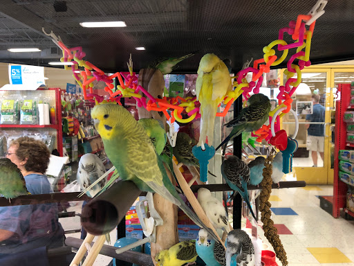 Pet Supply Store «Petco Animal Supplies», reviews and photos, 13053 Lee Jackson Memorial Hwy b, Fairfax, VA 22033, USA