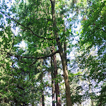 Photo n°3 de l'avis de Hans.a fait le 01/08/2022 à 11:06 sur le  Aparthotel Seepanoramaüber A 2 und A 10 à Mirow