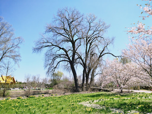 Botanical Garden «Olbrich Botanical Gardens», reviews and photos, 3330 Atwood Ave, Madison, WI 53704, USA