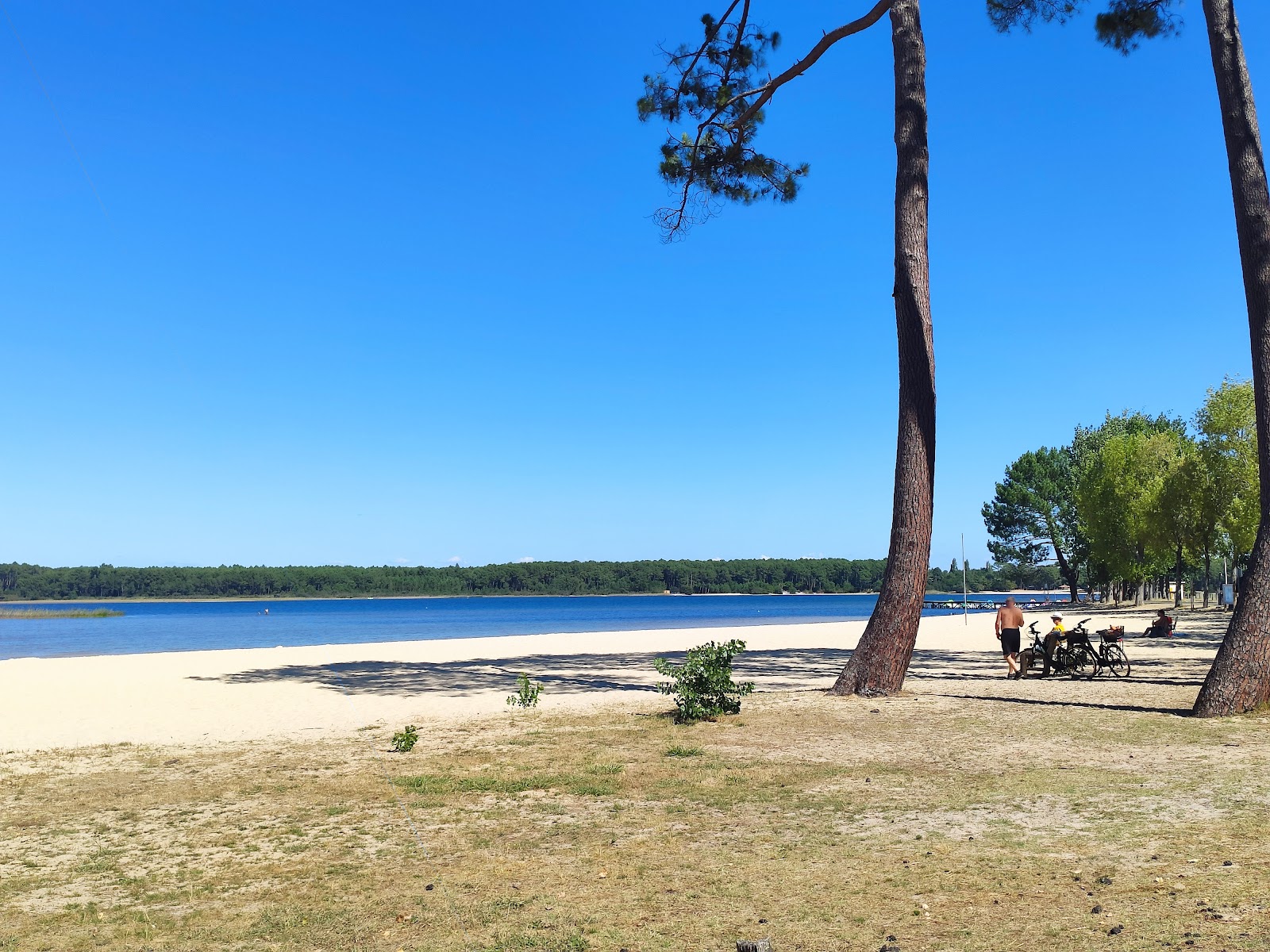 Foto van Plage du lac de Sanguinet met helder zand oppervlakte