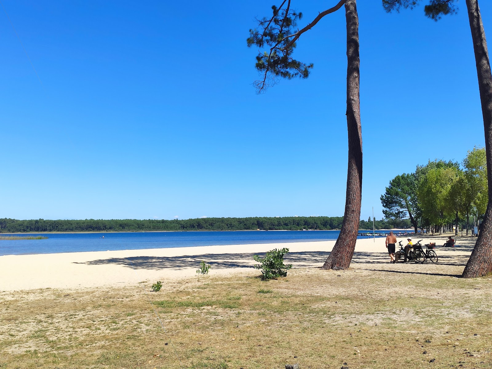 Foto di Plage du lac de Sanguinet con una superficie del sabbia beige