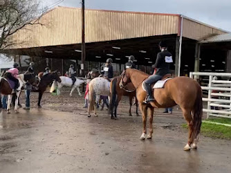 Yamhill County Fair & Rodeo