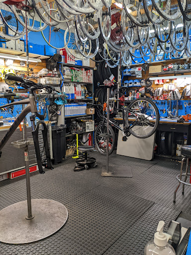 Bicycle Store «All Star Bike Shops Cary», reviews and photos, 1241 Kildaire Farm Rd, Cary, NC 27511, USA