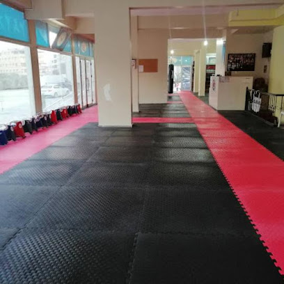 Ishakoğlu Taekwondo Okulu
