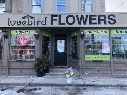 Lovebird Flowers Limited