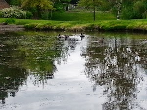 Sunnyside Park - photo 51