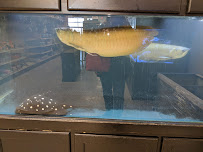 Fish Freaks - Photo 8 - Car repair in Omaha, NE, Omaha