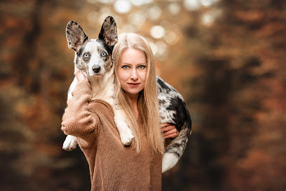 Lynnpix Dog Photography - Hundefotografie Schweiz | Madlyn Drogoin